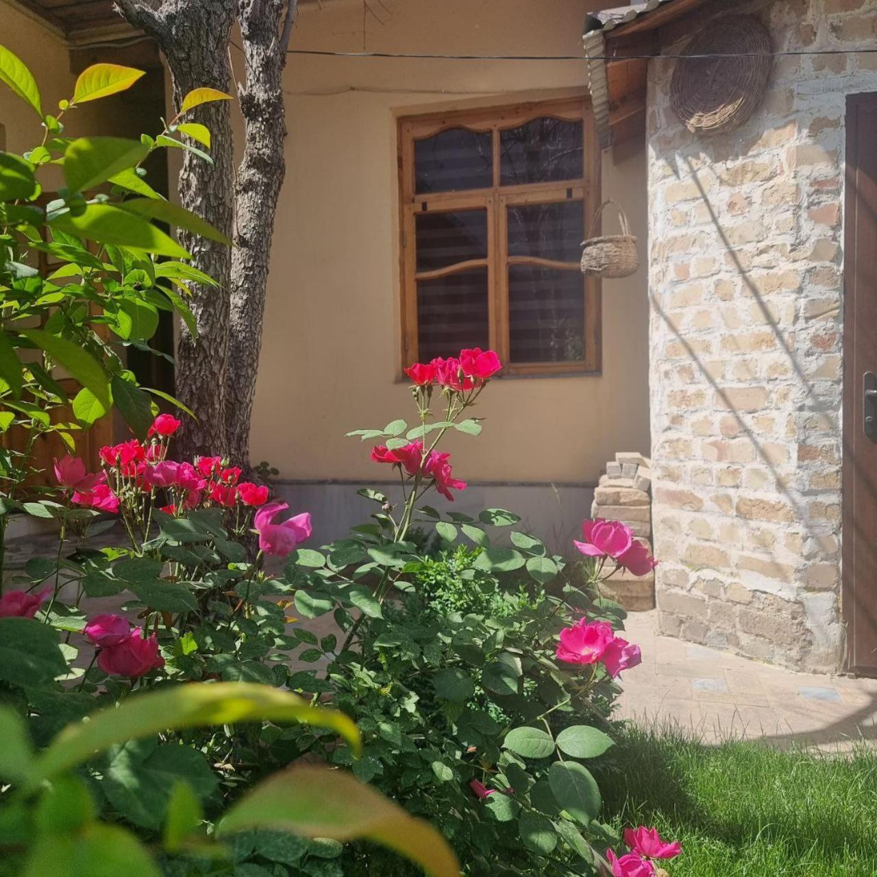 Sim-Sim Hostel & Backpackers Samarkand Exterior photo