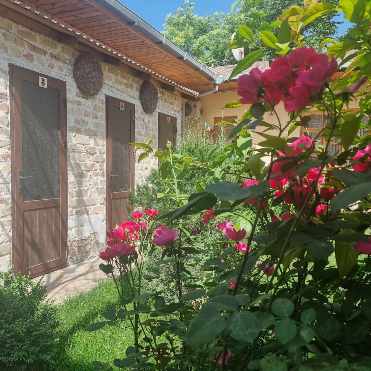 Sim-Sim Hostel & Backpackers Samarkand Exterior photo
